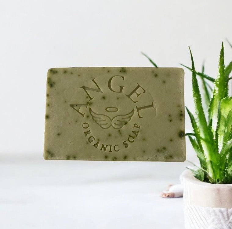 Amazing aloe