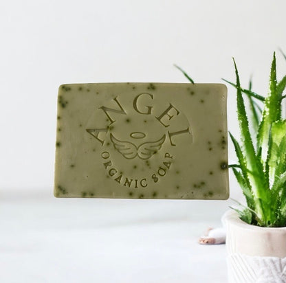 Amazing aloe