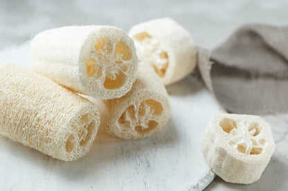 Loofah